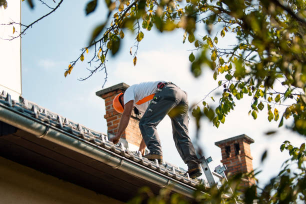 Best Commercial Roofing Services  in Waterloo, IN