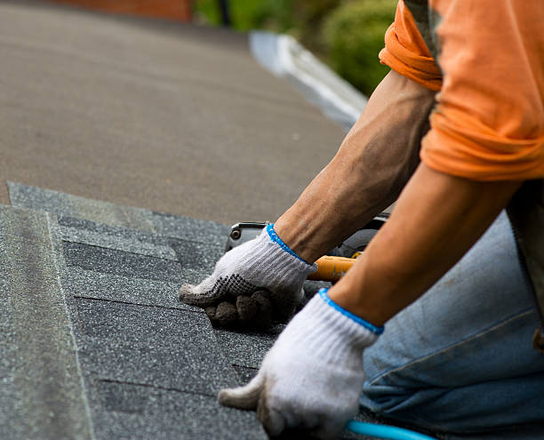 Best Roof Gutter Cleaning  in Waterloo, IN