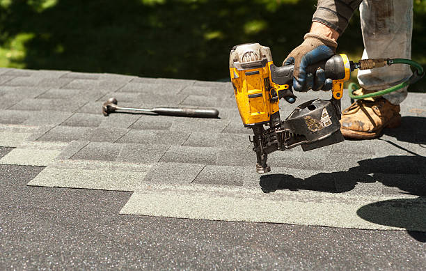Best Flat Roof Repair Services  in Waterloo, IN