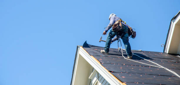 Best Commercial Roofing Services  in Waterloo, IN